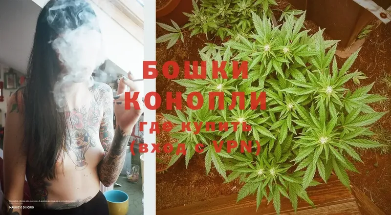 купить закладку  Олонец  Каннабис White Widow 